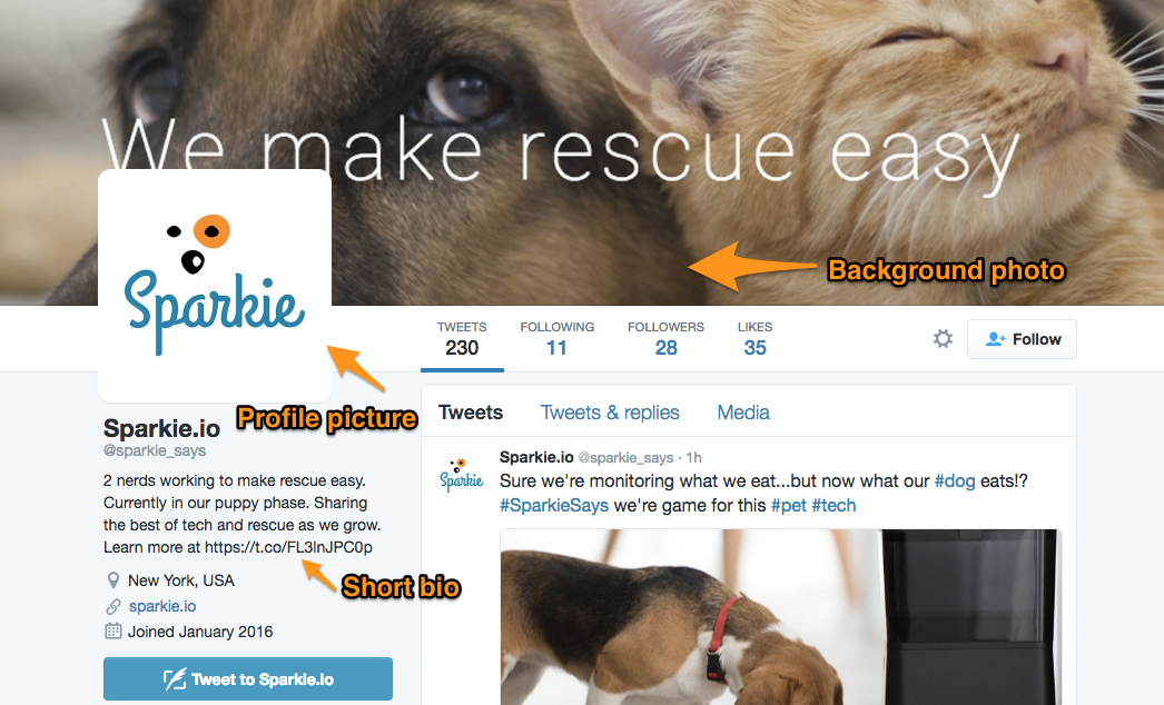 Unlike other platforms, your Twitter profile is fairly limited: you can add basic info like description, location and picture.