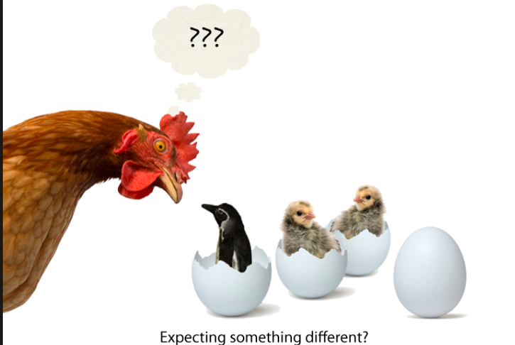 Knowing YOUR rescue's groups needs, and being able to clearly articulate them, will ensure that when you start to research software options, and speak to different companies, there is little room for confusion about what you need a program to do for you!
