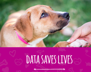 Data - recording it, reporting it, and analyzing it, was a key theme of the conference - and we couldn’t agree more!