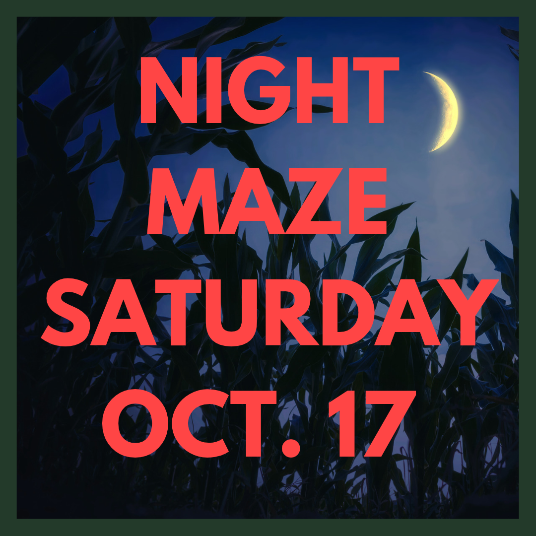 NIGHT MAZE (2).png