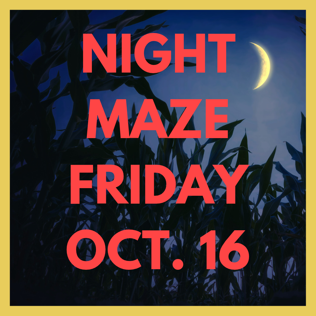 NIGHT MAZE.png