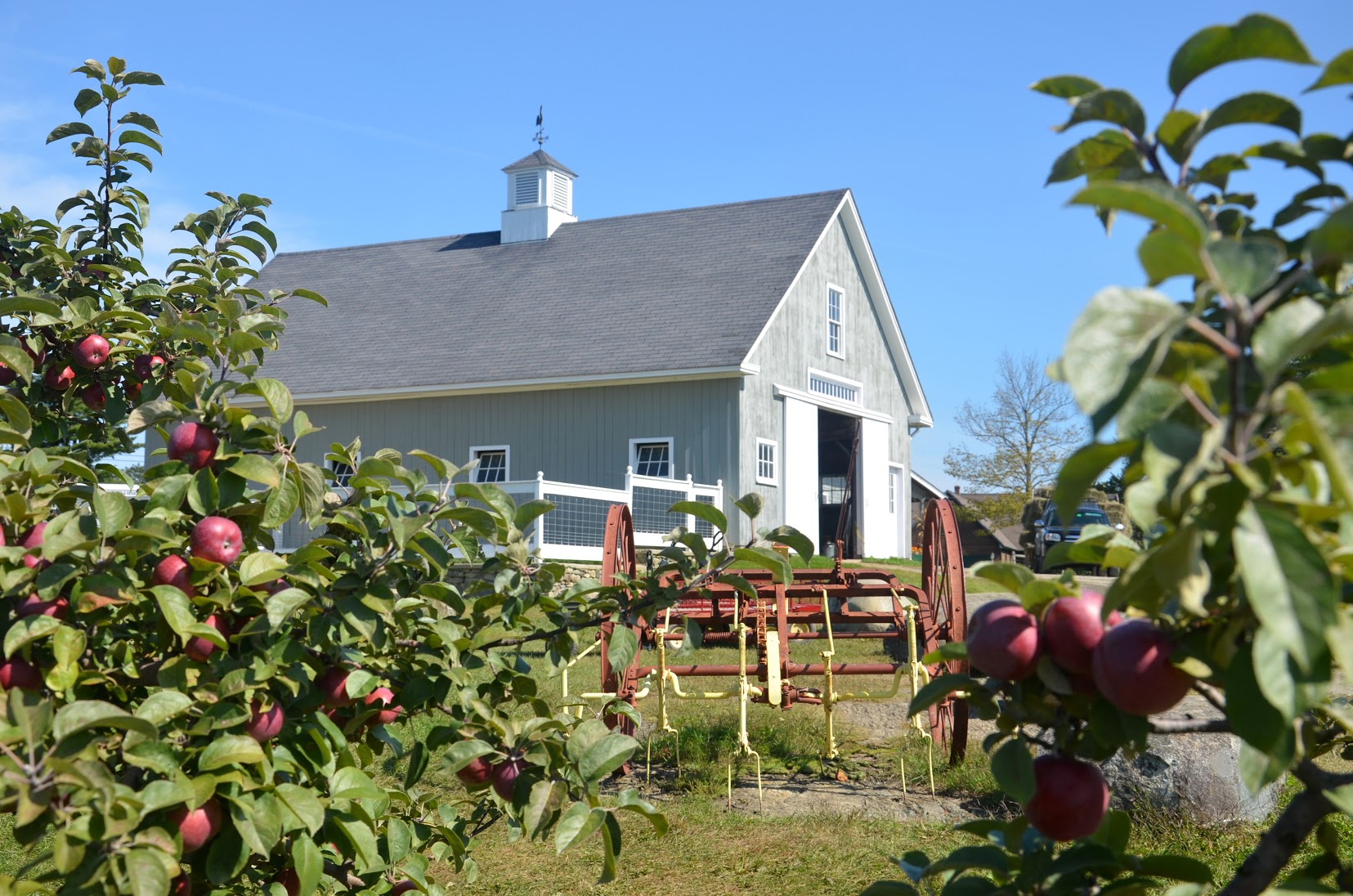 Barn and Apples-1.JPG