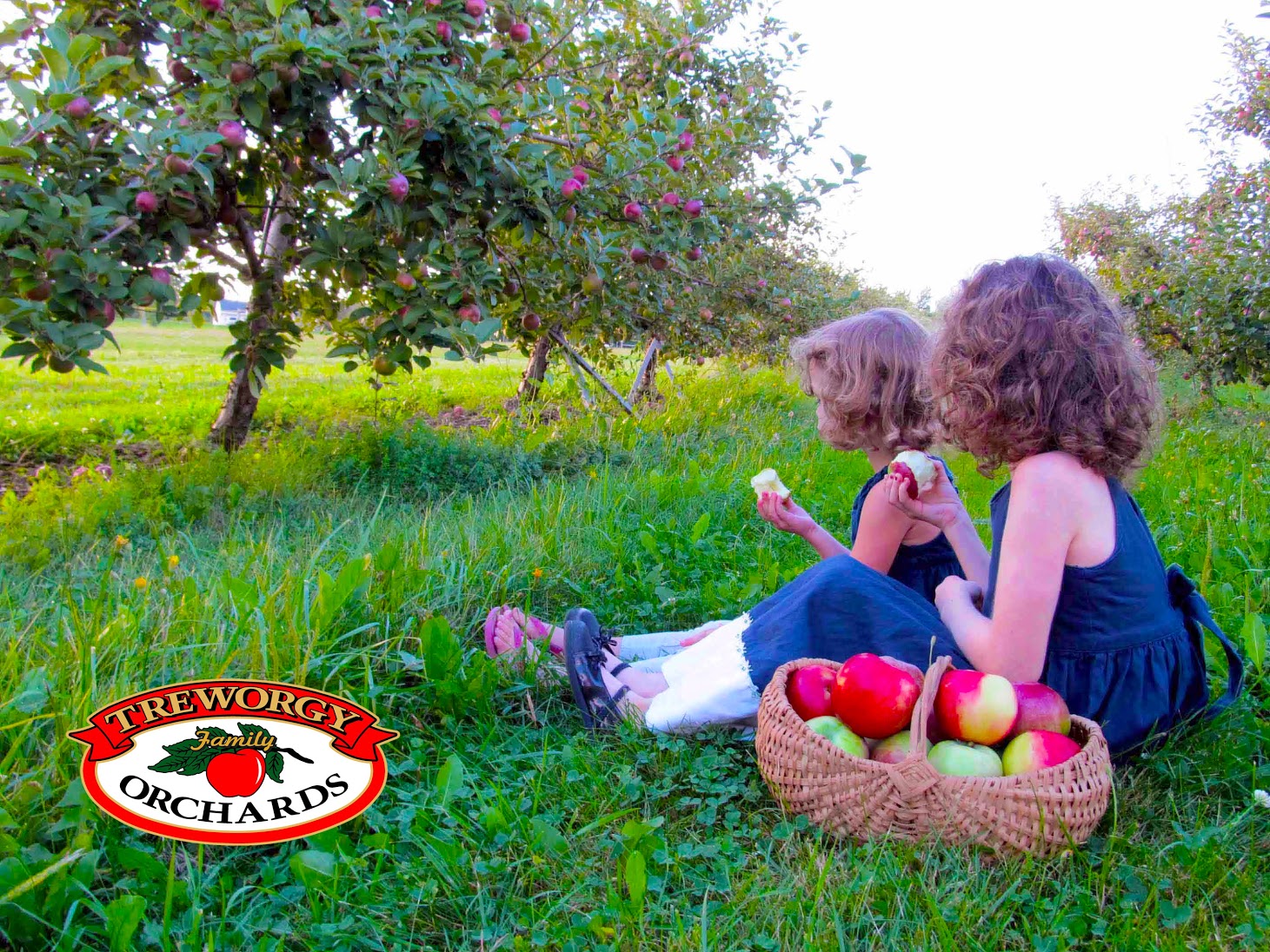 Girls in Apple Orchard Logo.jpg