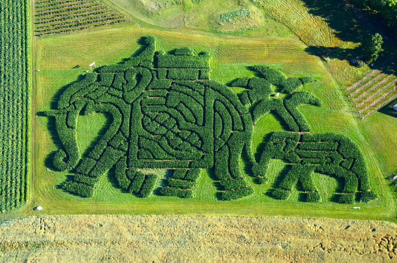 Maze Photo Edited.jpg