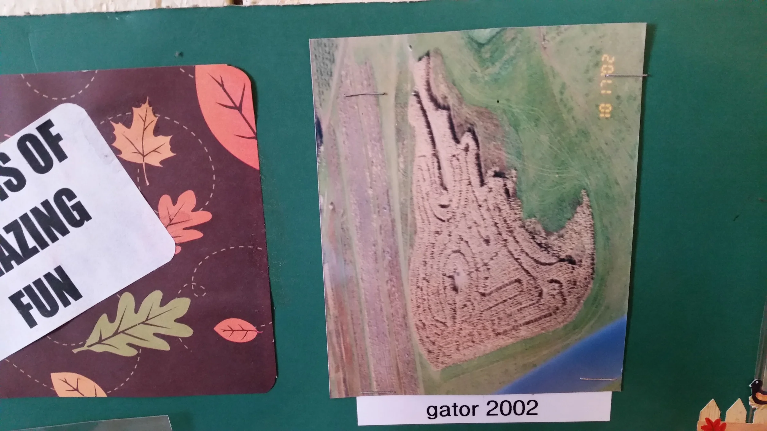 2002 Gator