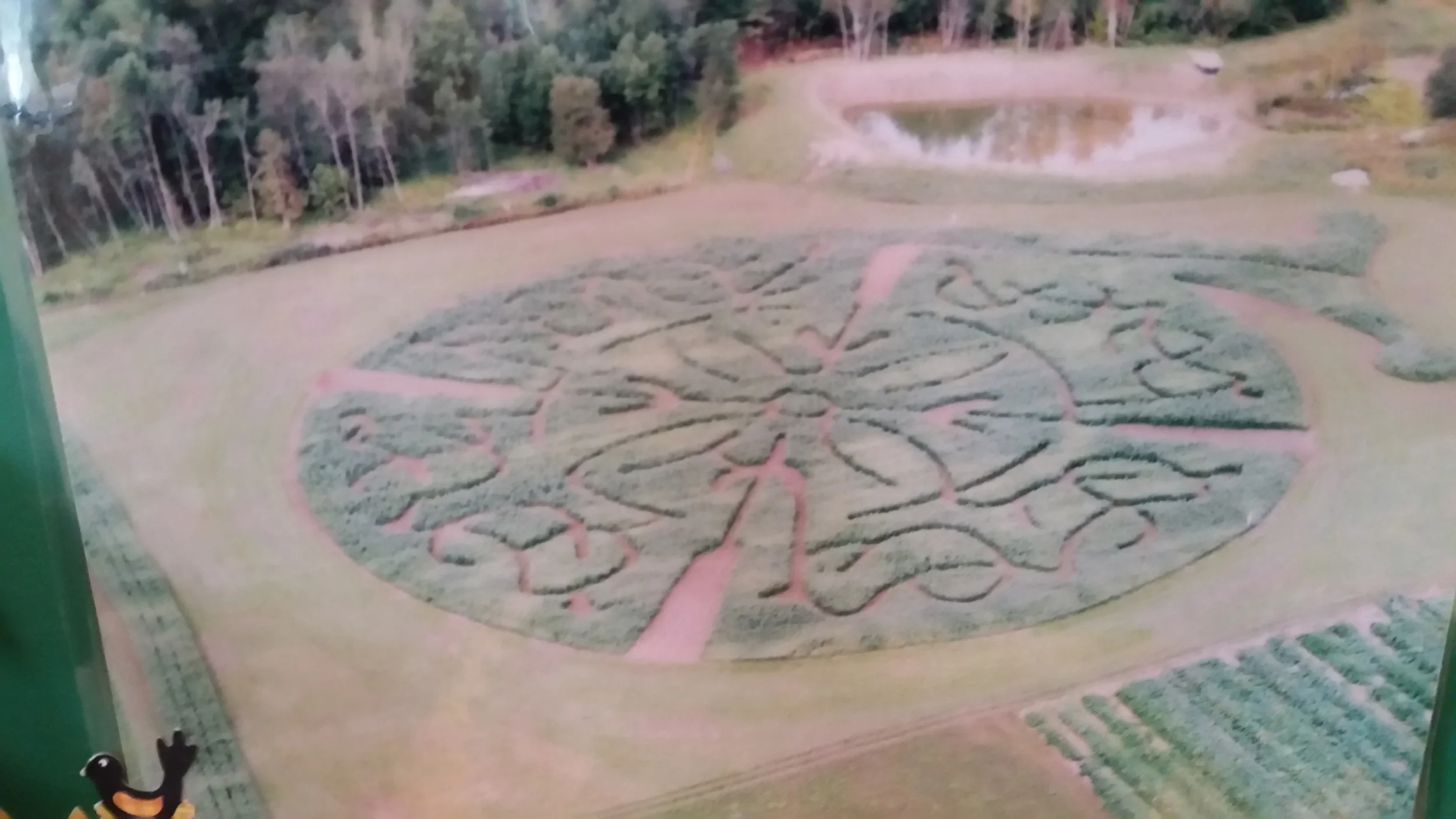 2003 Celtic Labyrinth