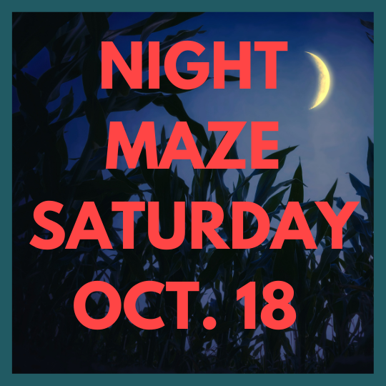 NIGHT MAZE (21).png