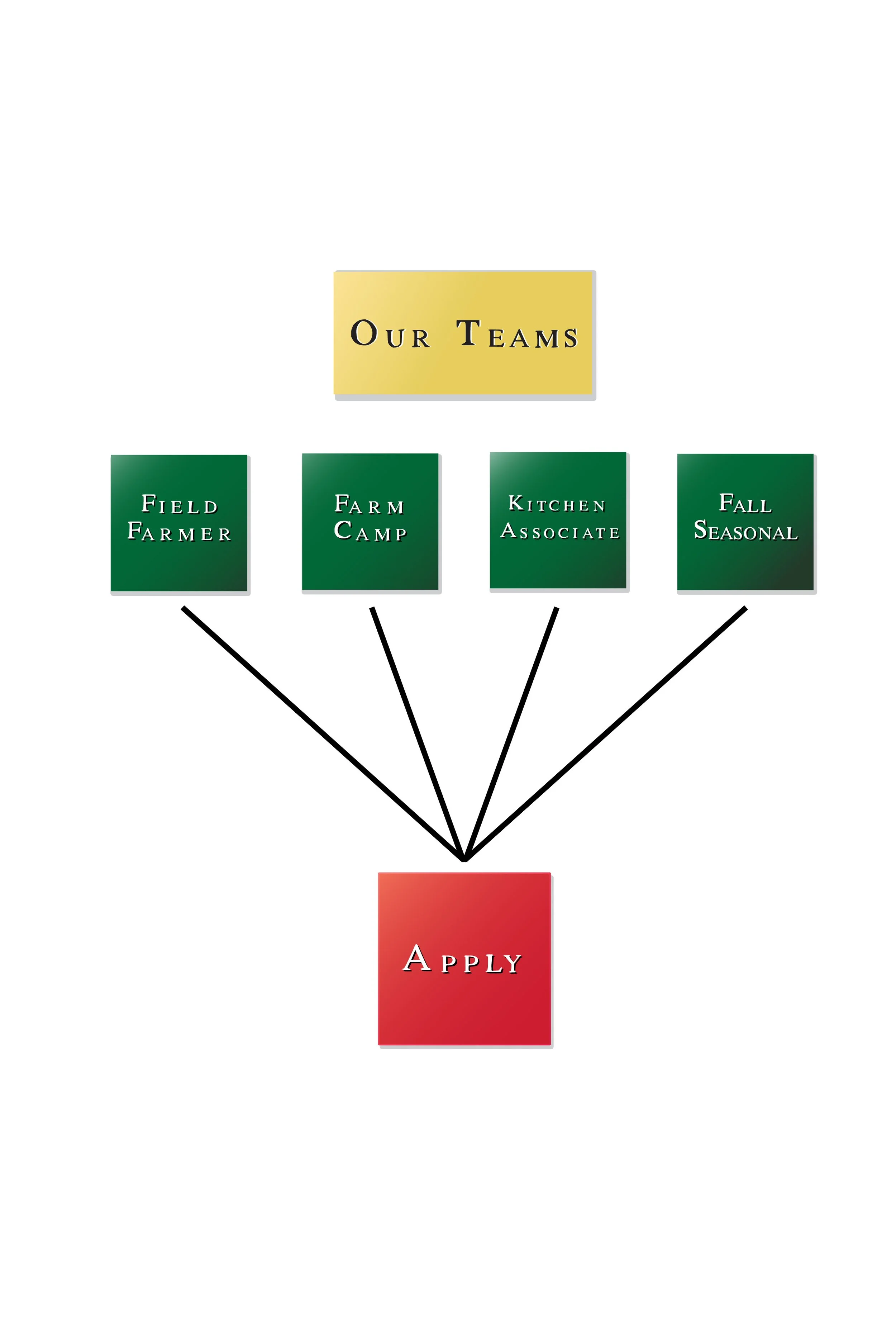 TFO website hiring flow graph