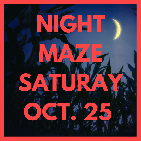 NIGHT MAZE (23).png