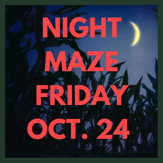 NIGHT MAZE (22).png