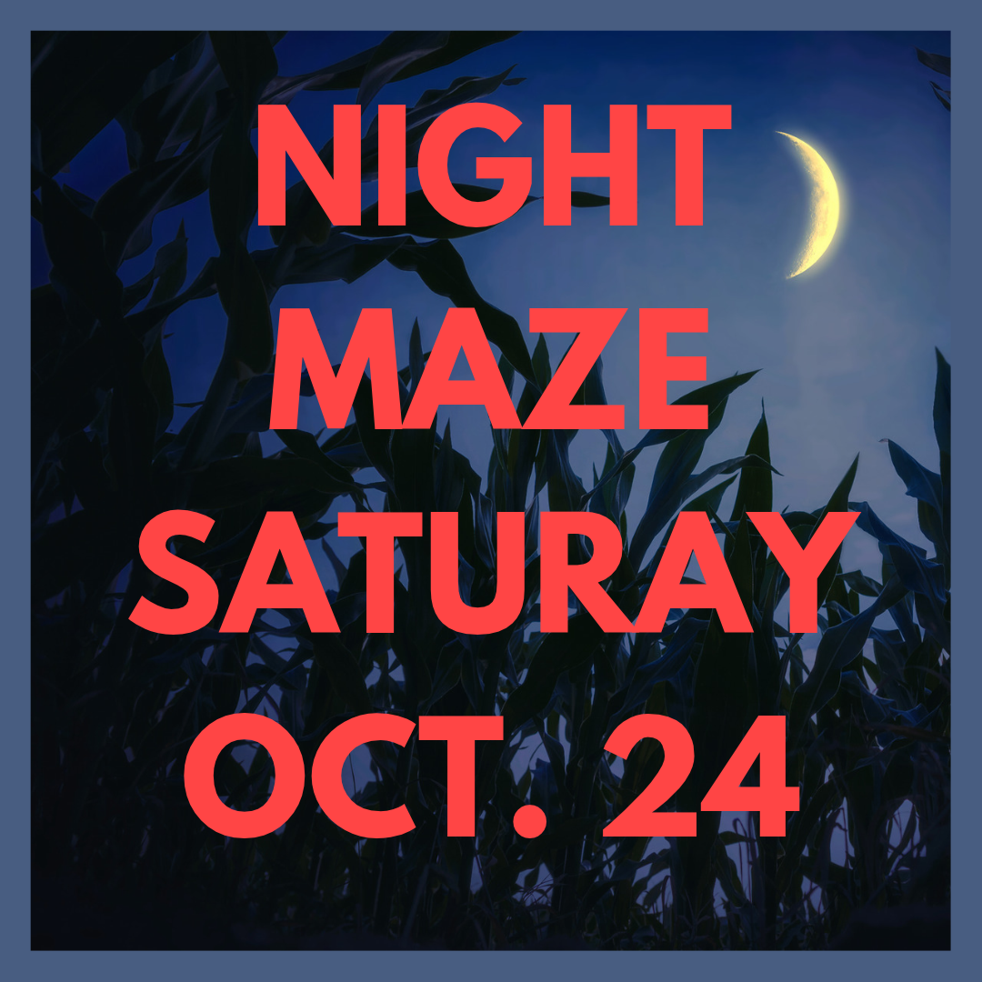 NIGHT MAZE (3).png