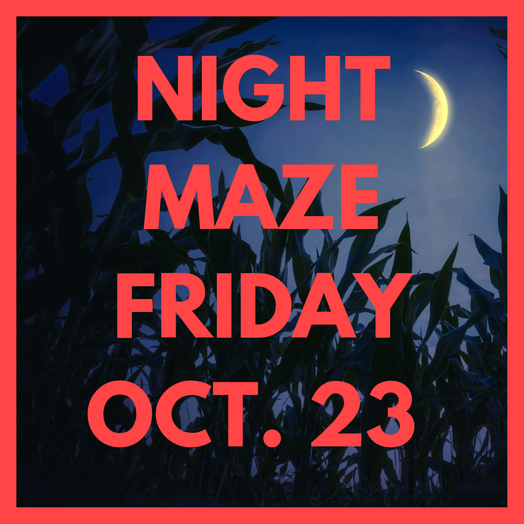 NIGHT MAZE (1).png