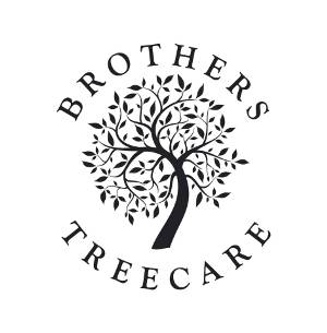 Brothers Treecare 