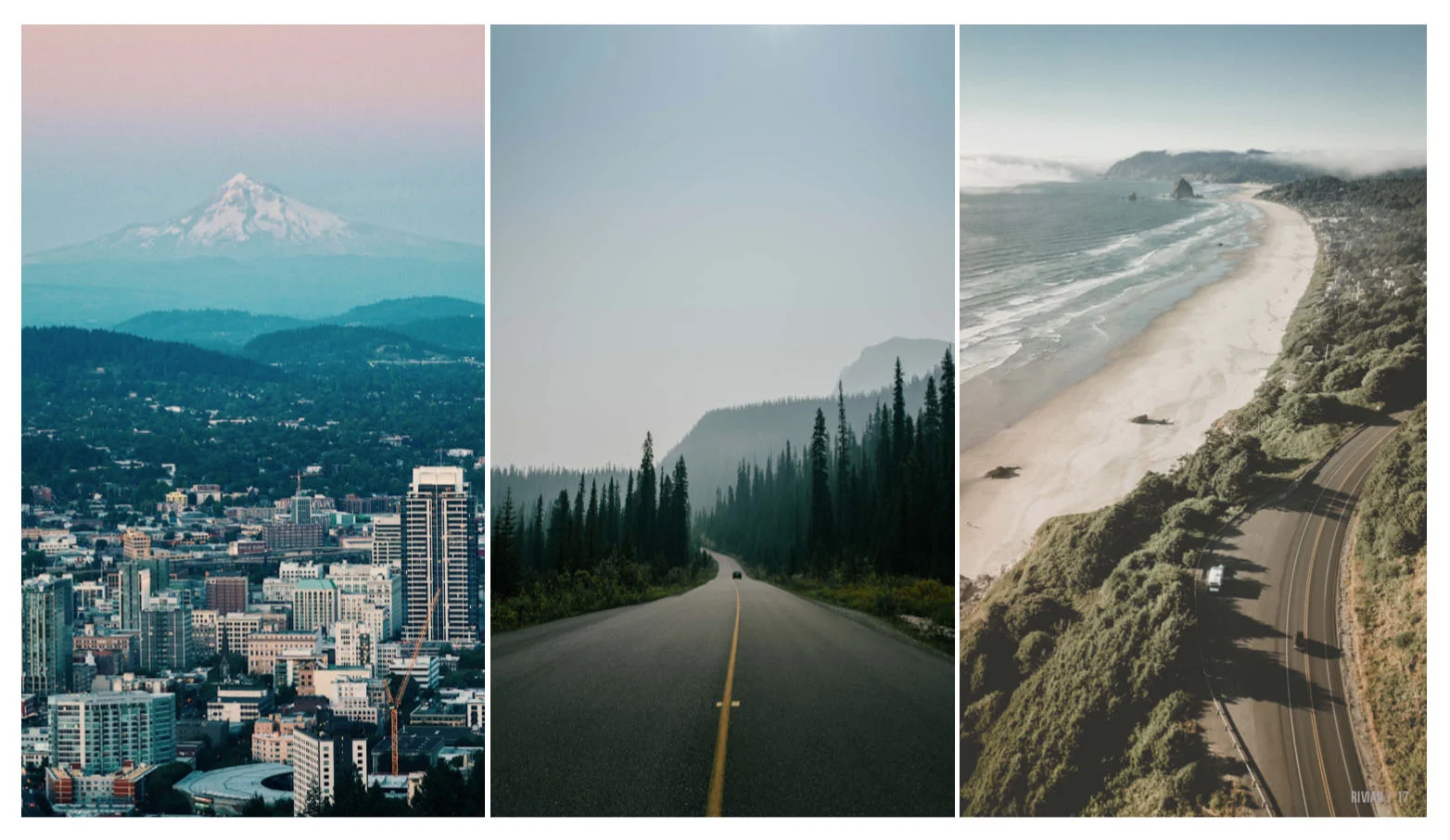 Untitled2_0016_Screen Shot 2019-01-18 at 10.41.39 PM.png.jpg