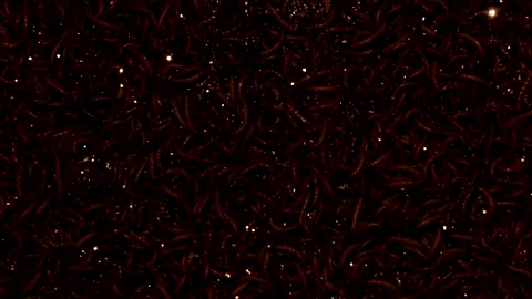 giphy 2.gif