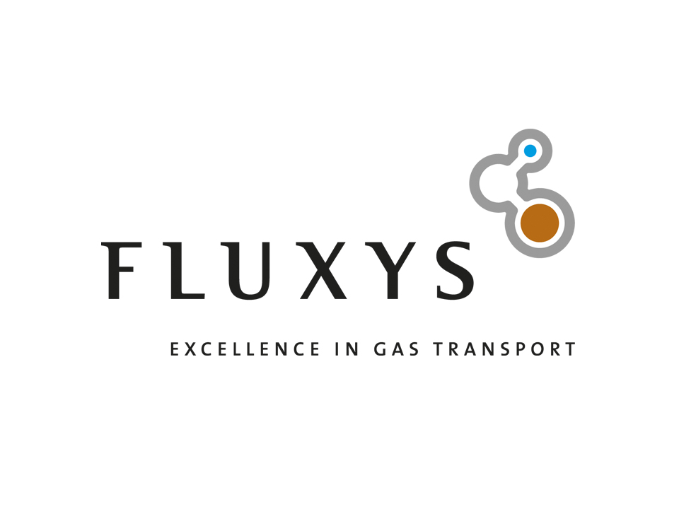 fluxys logo.jpg