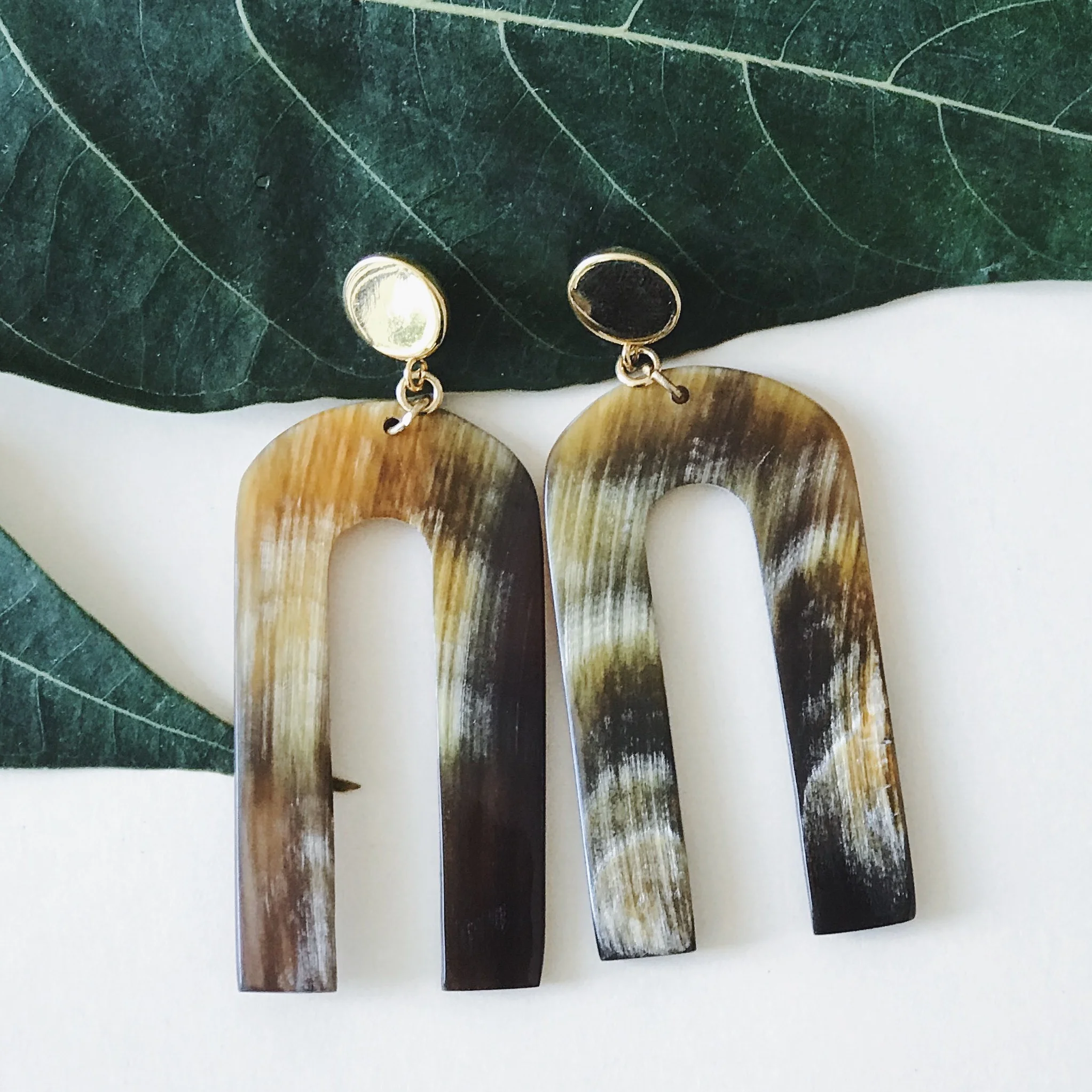 Horn agathe earrings .jpg