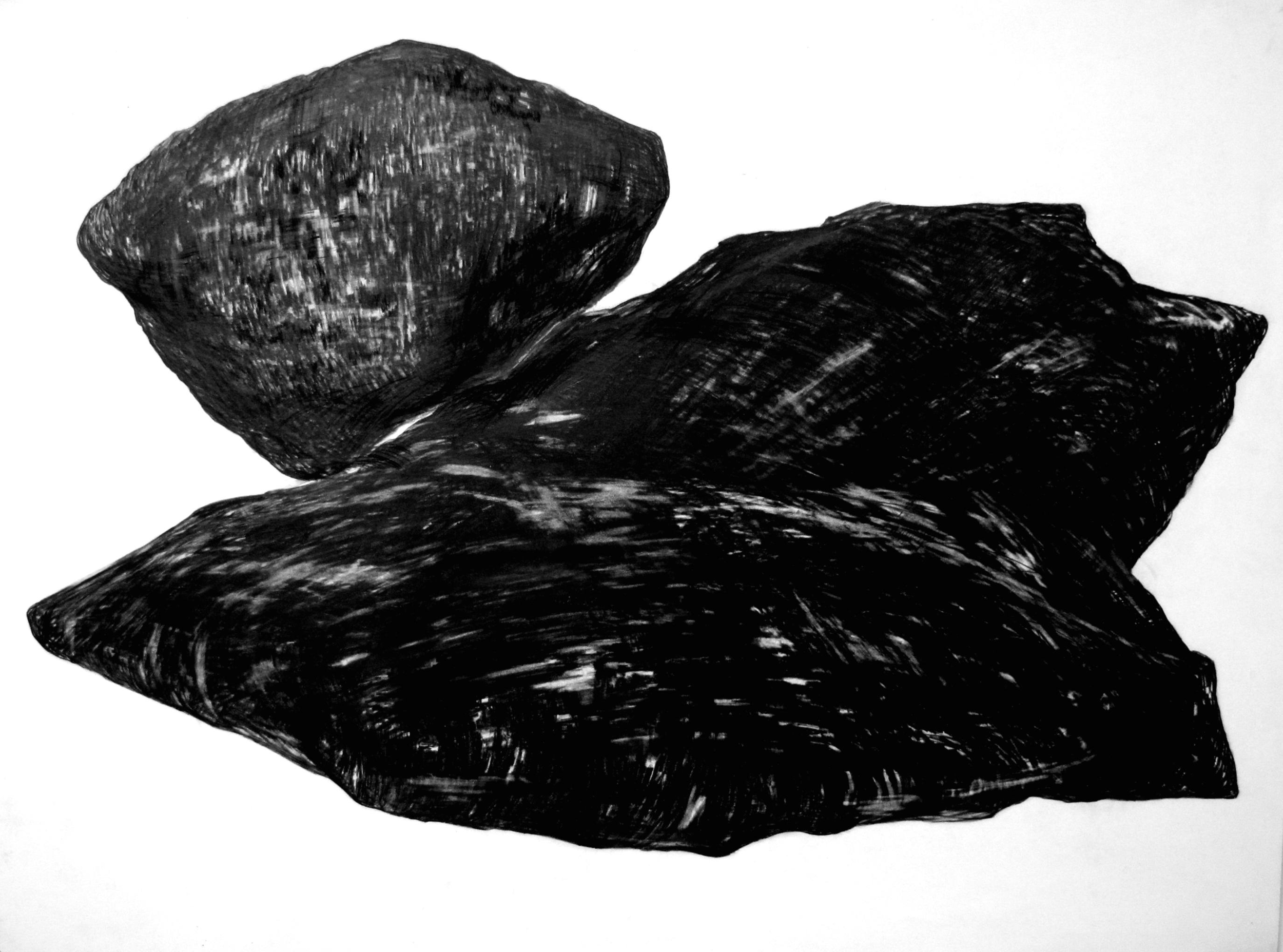 Specimens 3