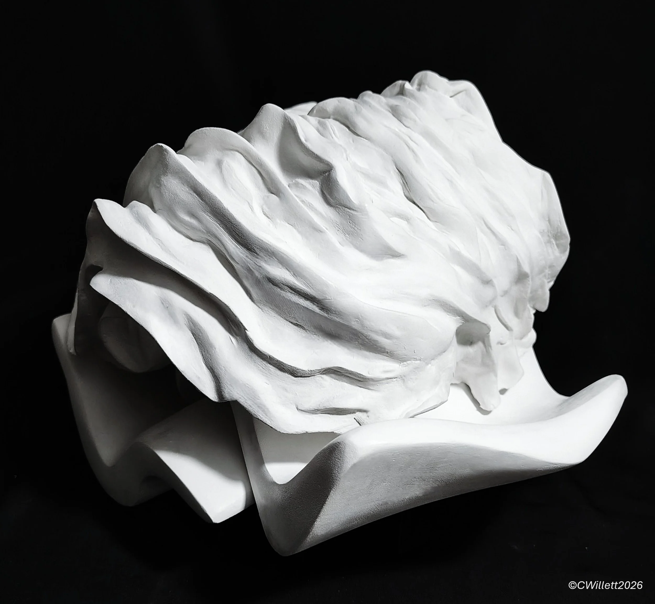Wave Series 10: Laughing Wave