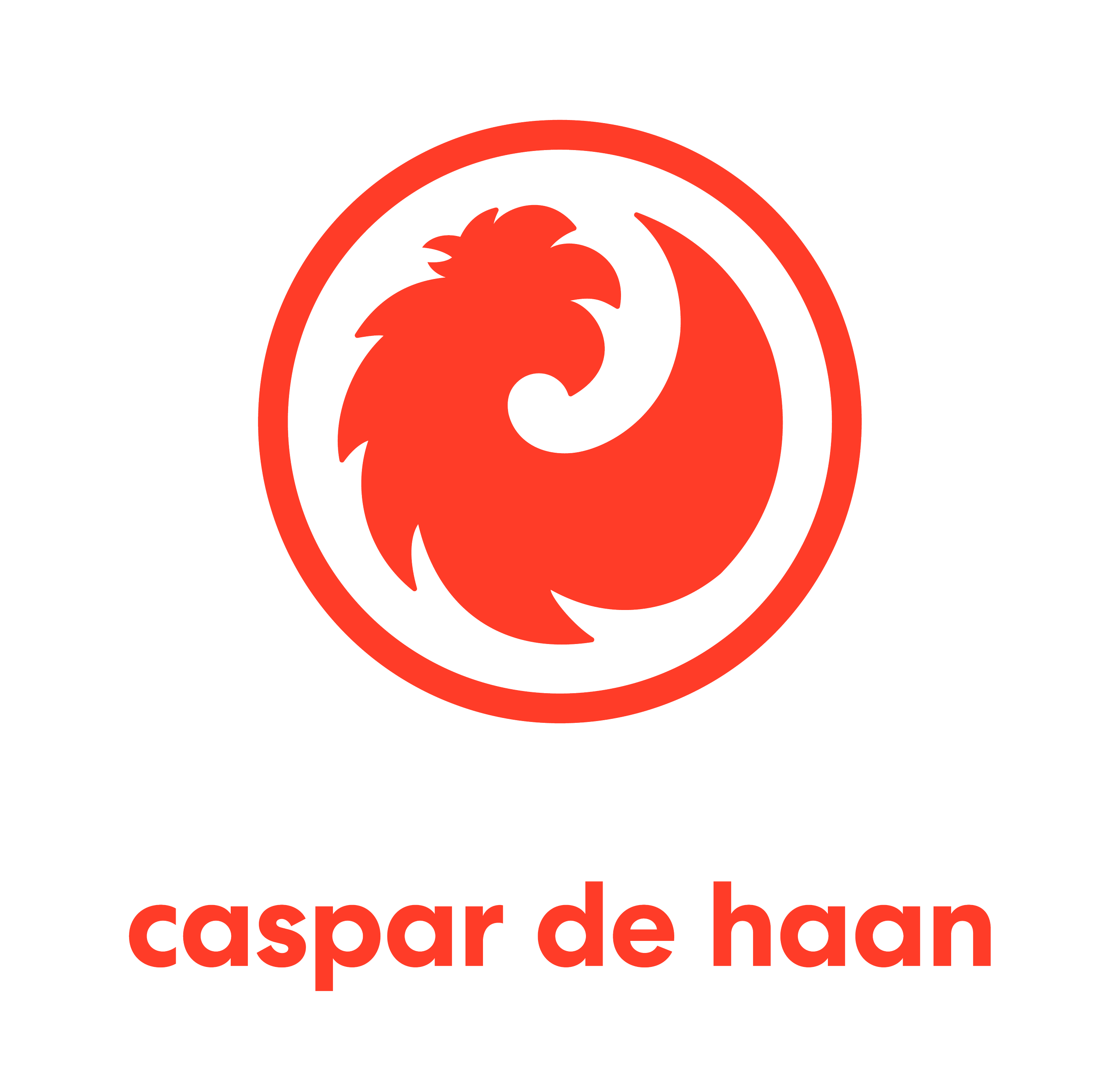 caspar de haan.png