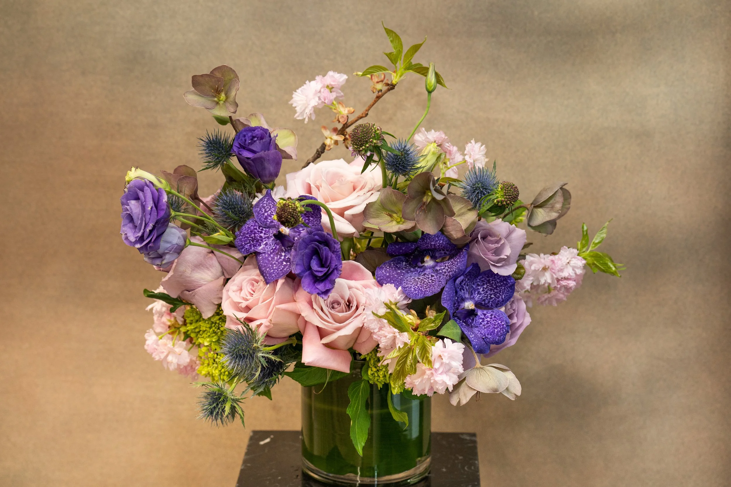 B O T A N I C  M U S E