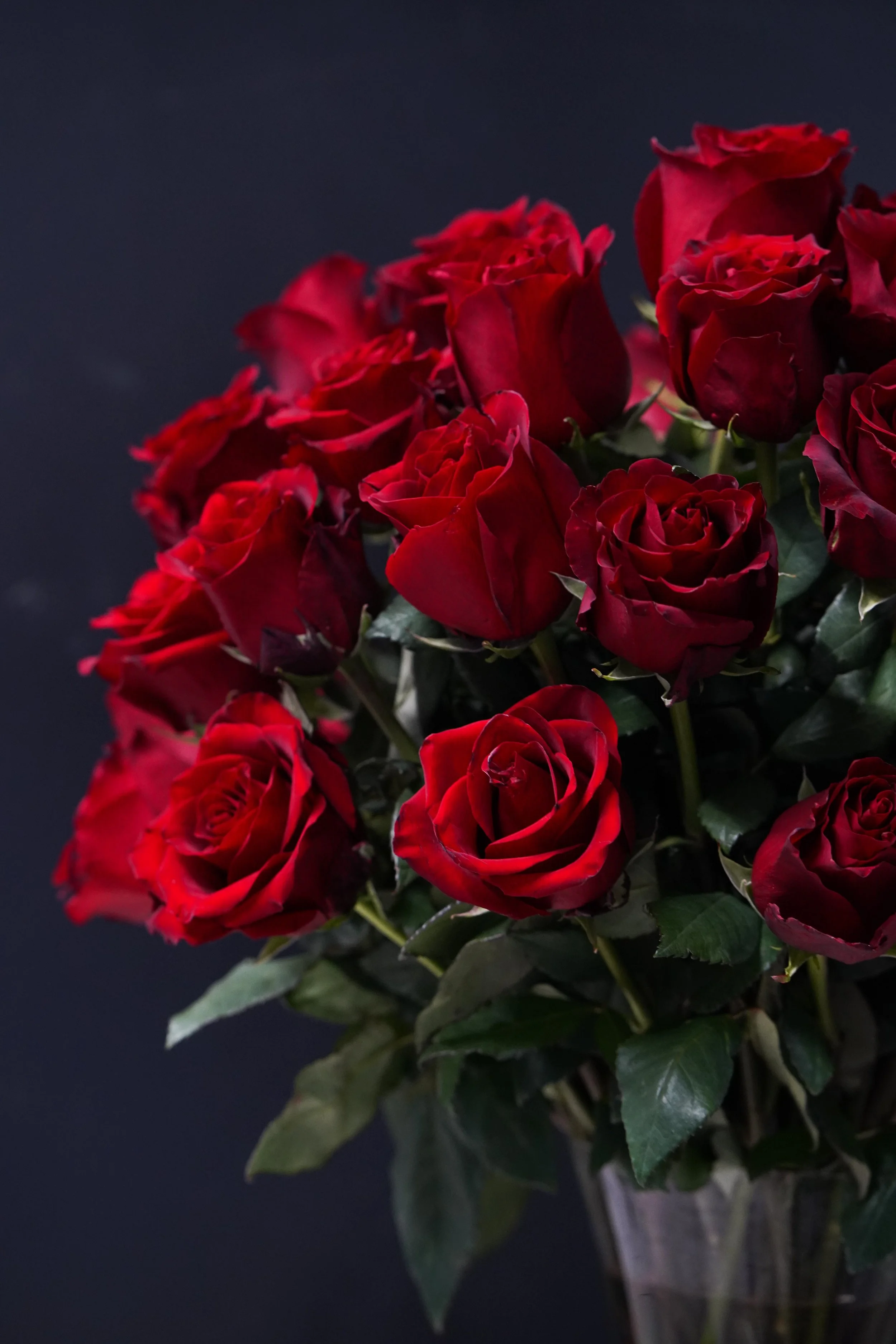 THE ULTIMATE VALENTINE'S ROSES