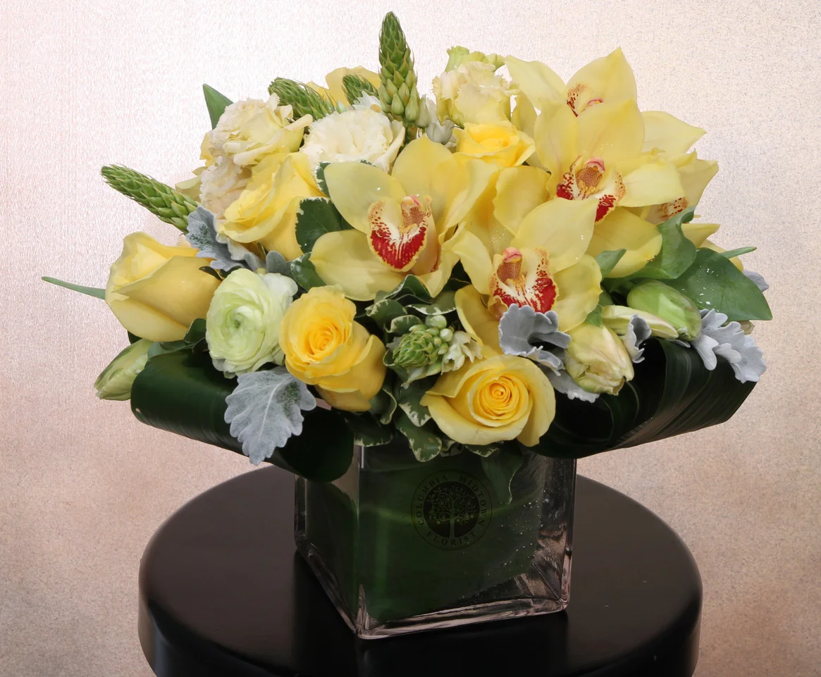 IMG_0161 copy-1.jpeg