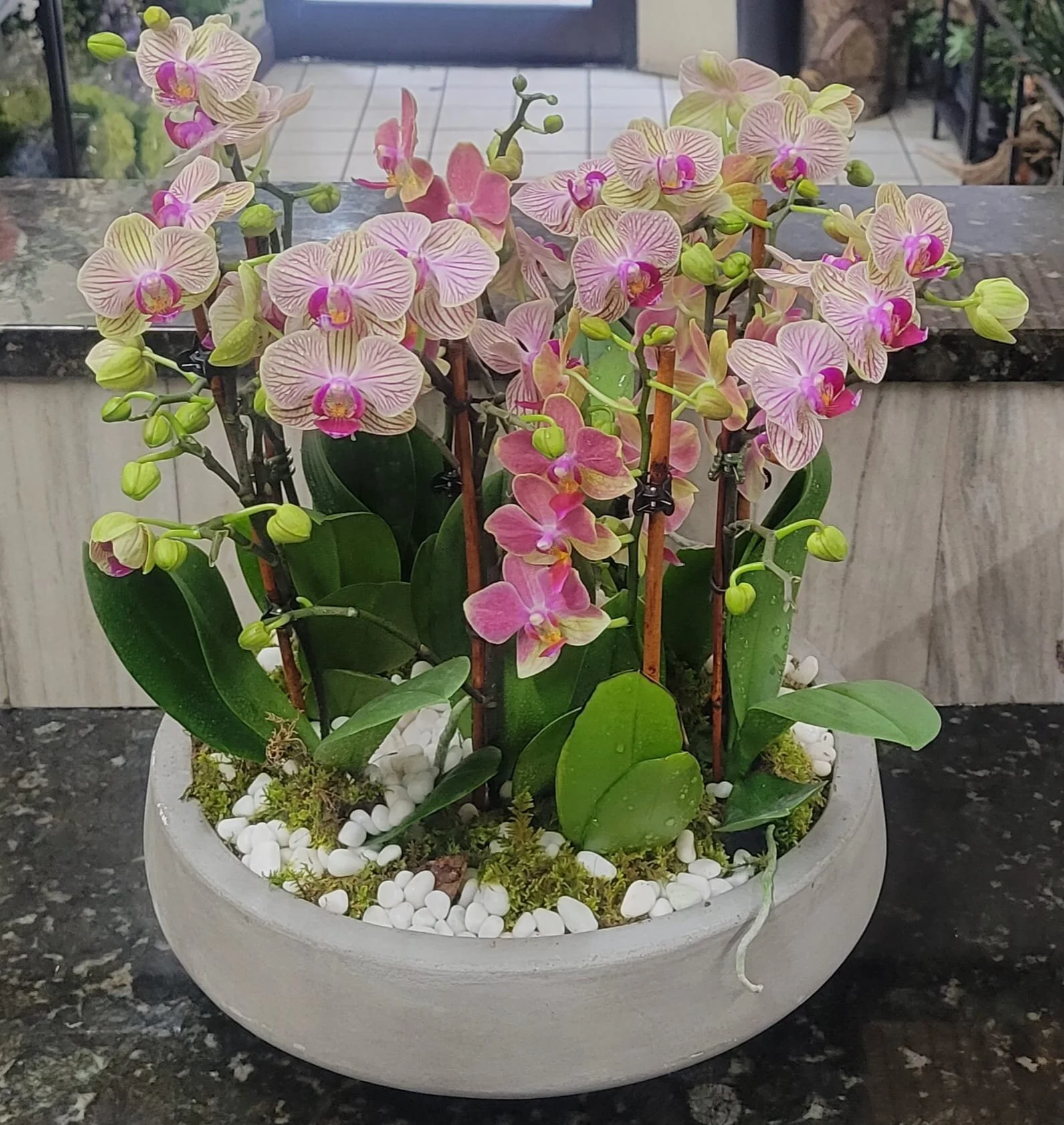 CAE9C5E9-D21E-4077-AB09-D77202725B15