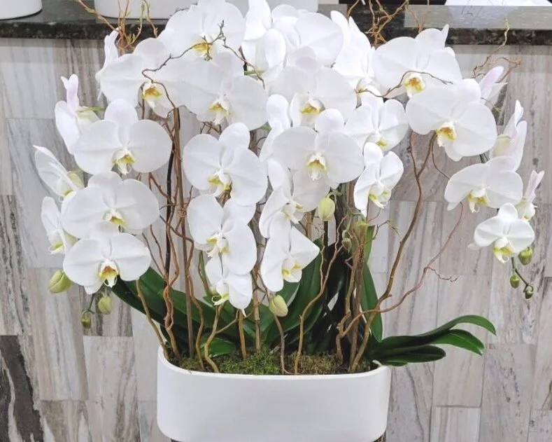 15315461-6923-41BF-BC81-3F19A825C974