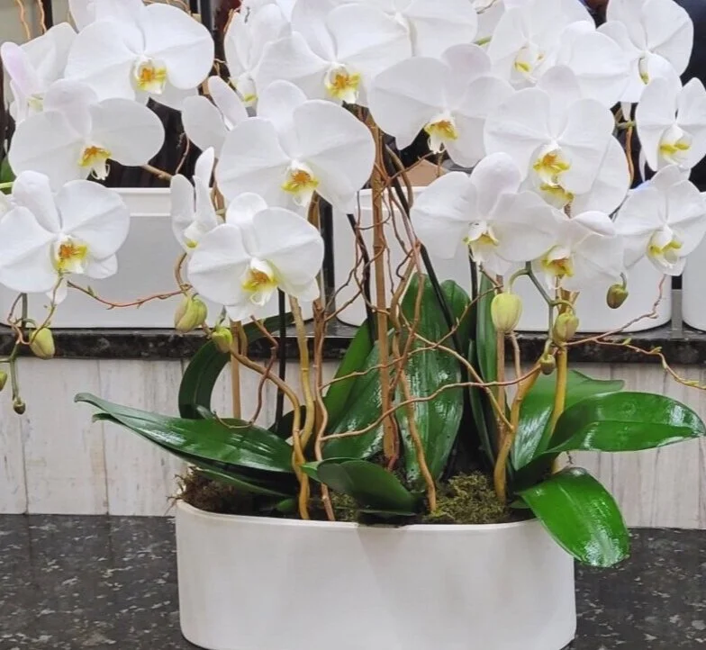 190AC089-9BD8-48D3-8690-4C4A050DCFFC