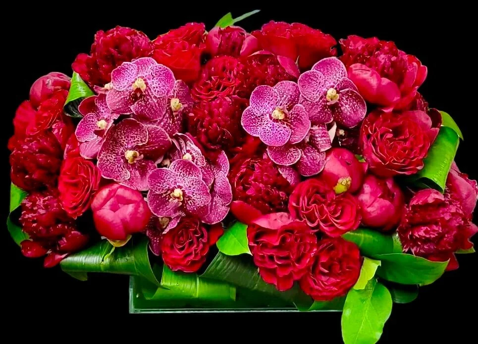 6E312898-5E57-4BB9-A2B8-1F36CD47C13D (Copy)