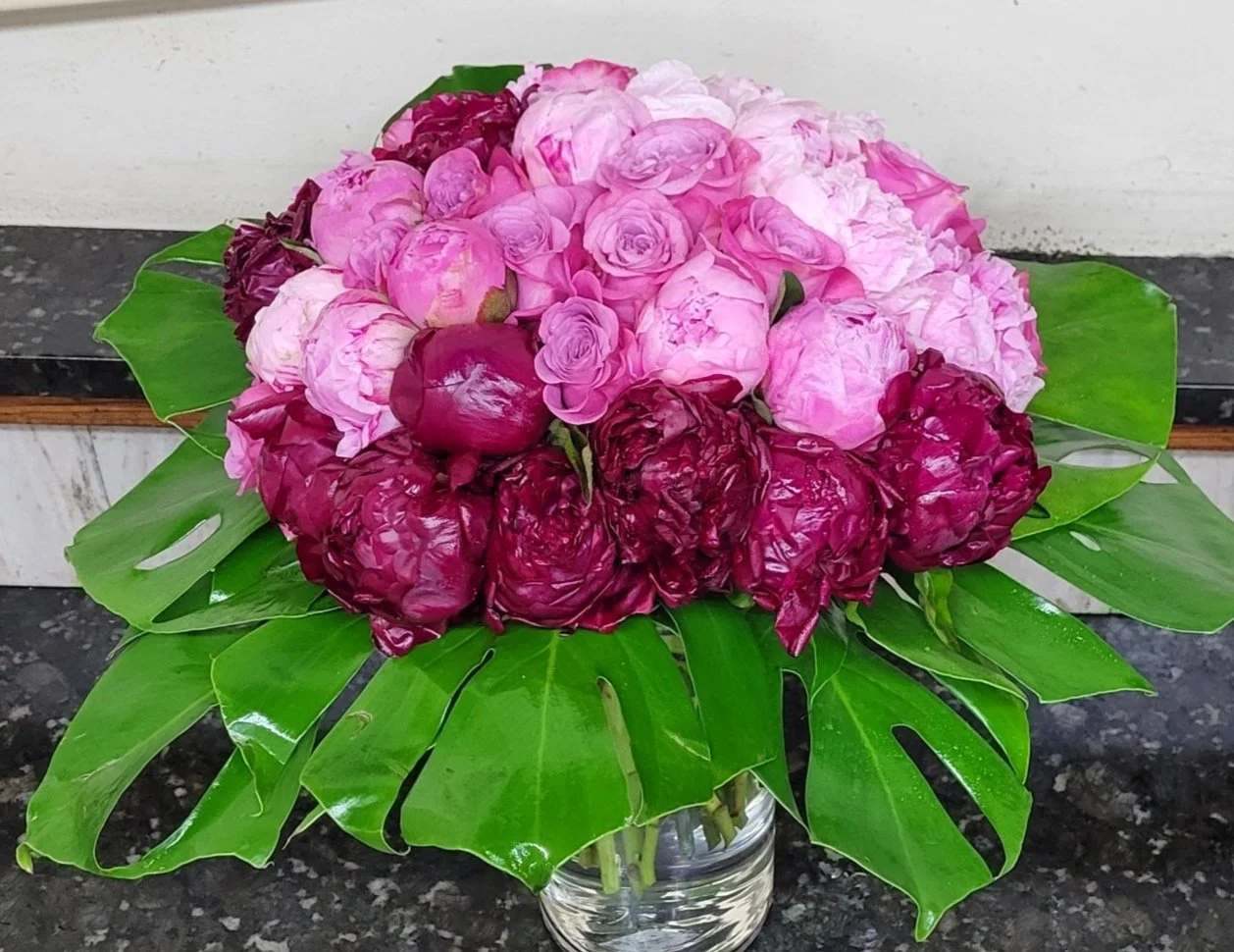 IMG_1909.jpeg (Copy) (Copy)