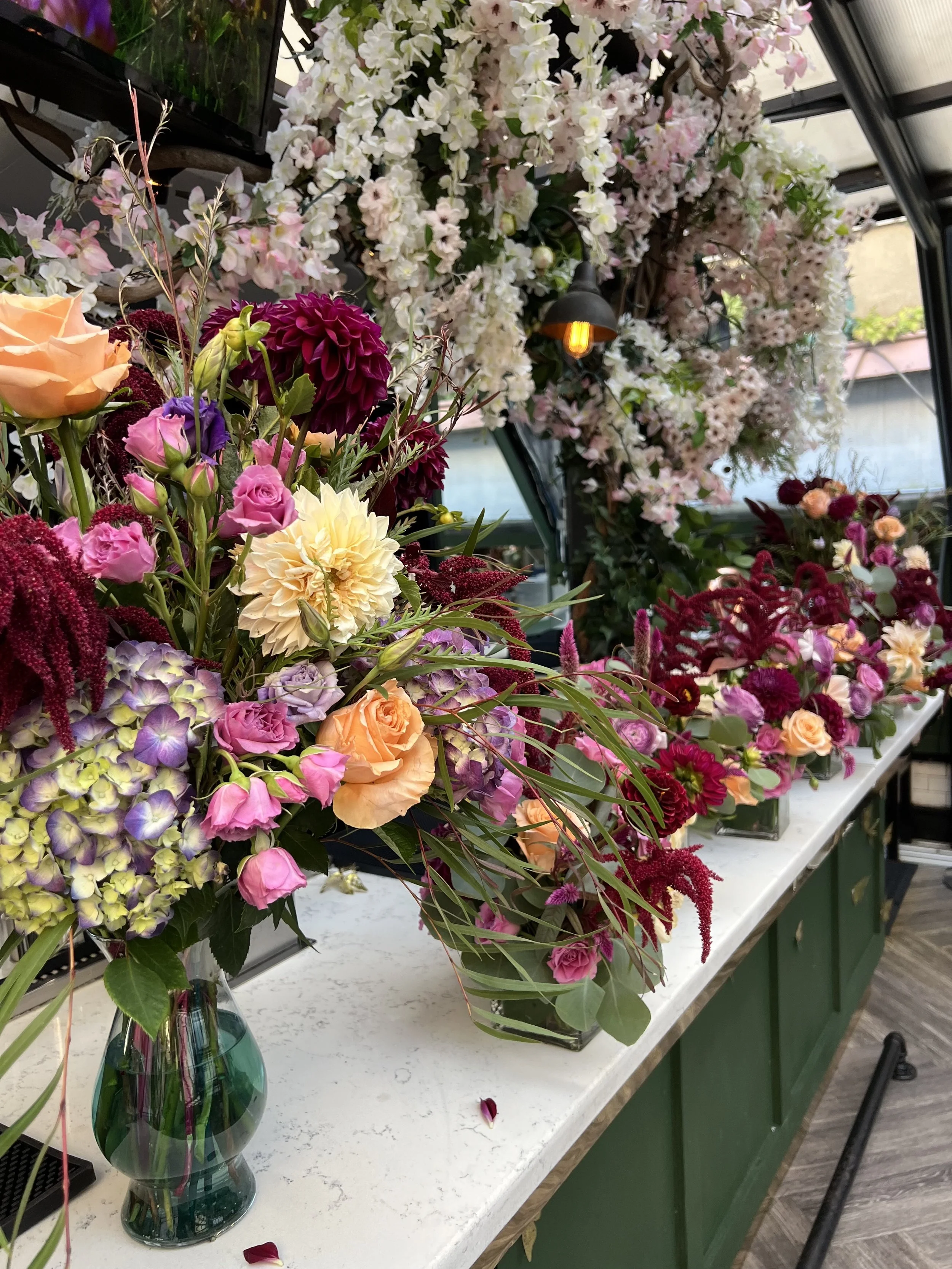 Blooming in the City That Never Sleeps: Same-Day Flower Delivery and NYC Orchids