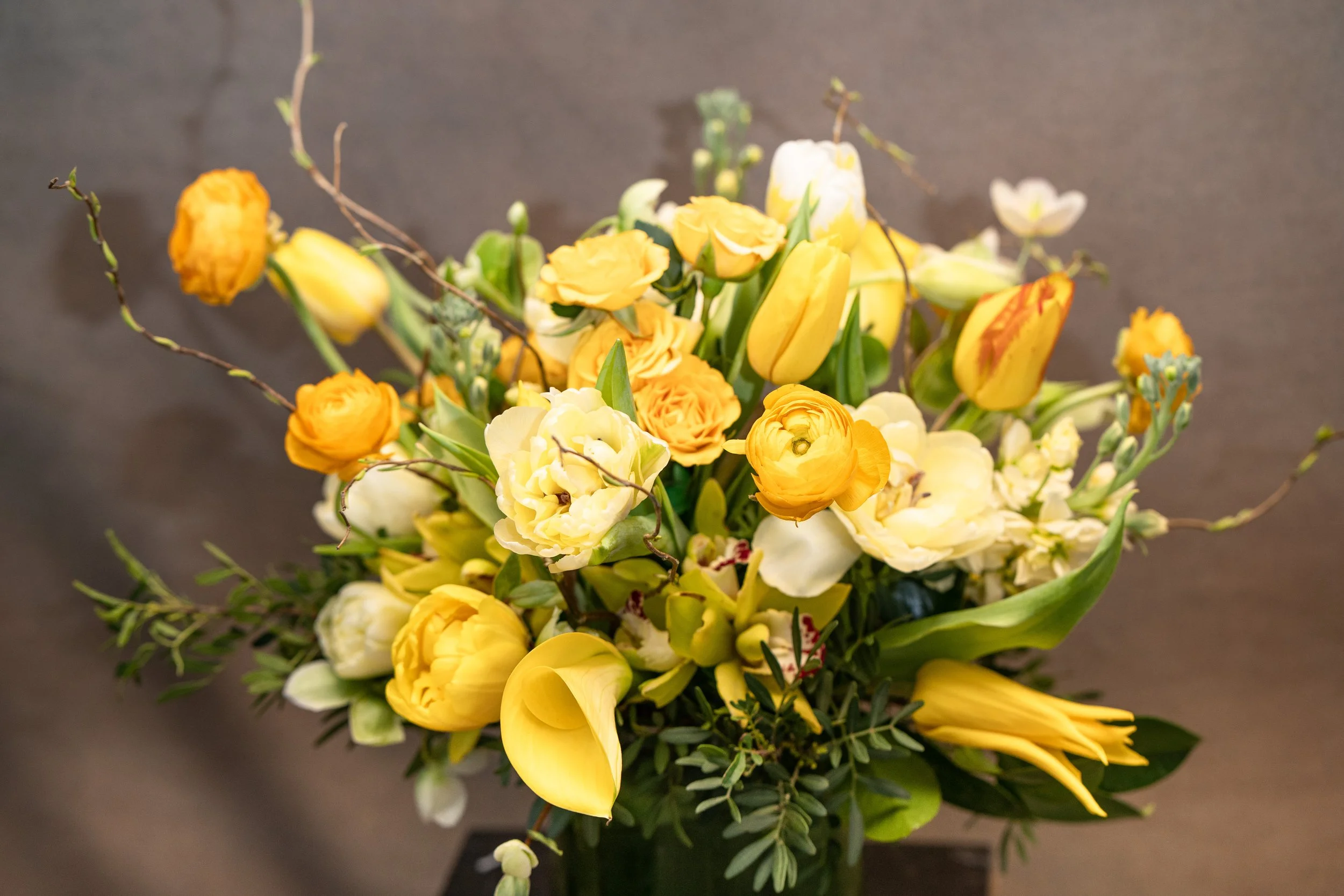 DSC000422.JPG