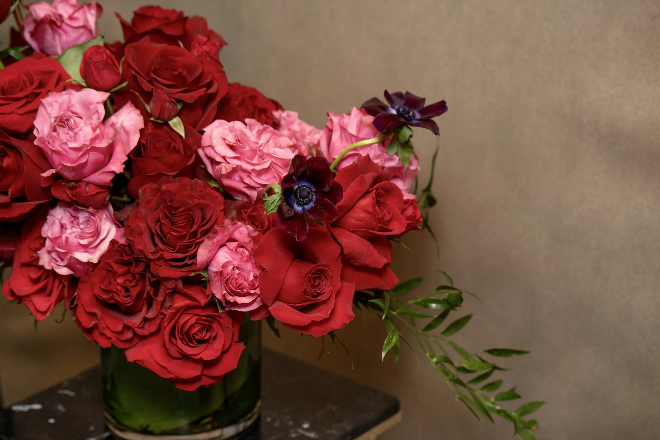 DSC09721.jpg