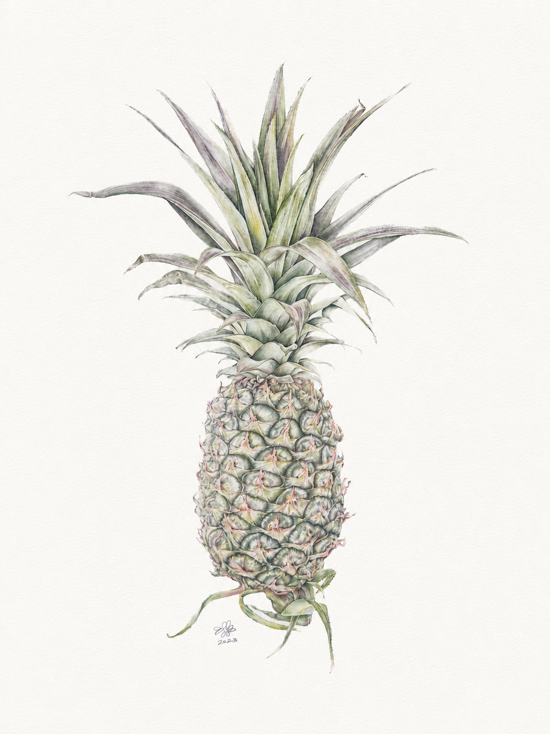 Pineapple web hero1.png