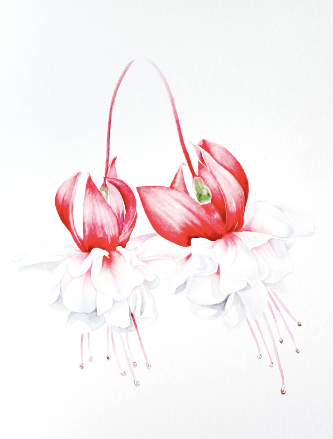 Screenshot 2025-11-13 at 5.13.17 PM copy.png