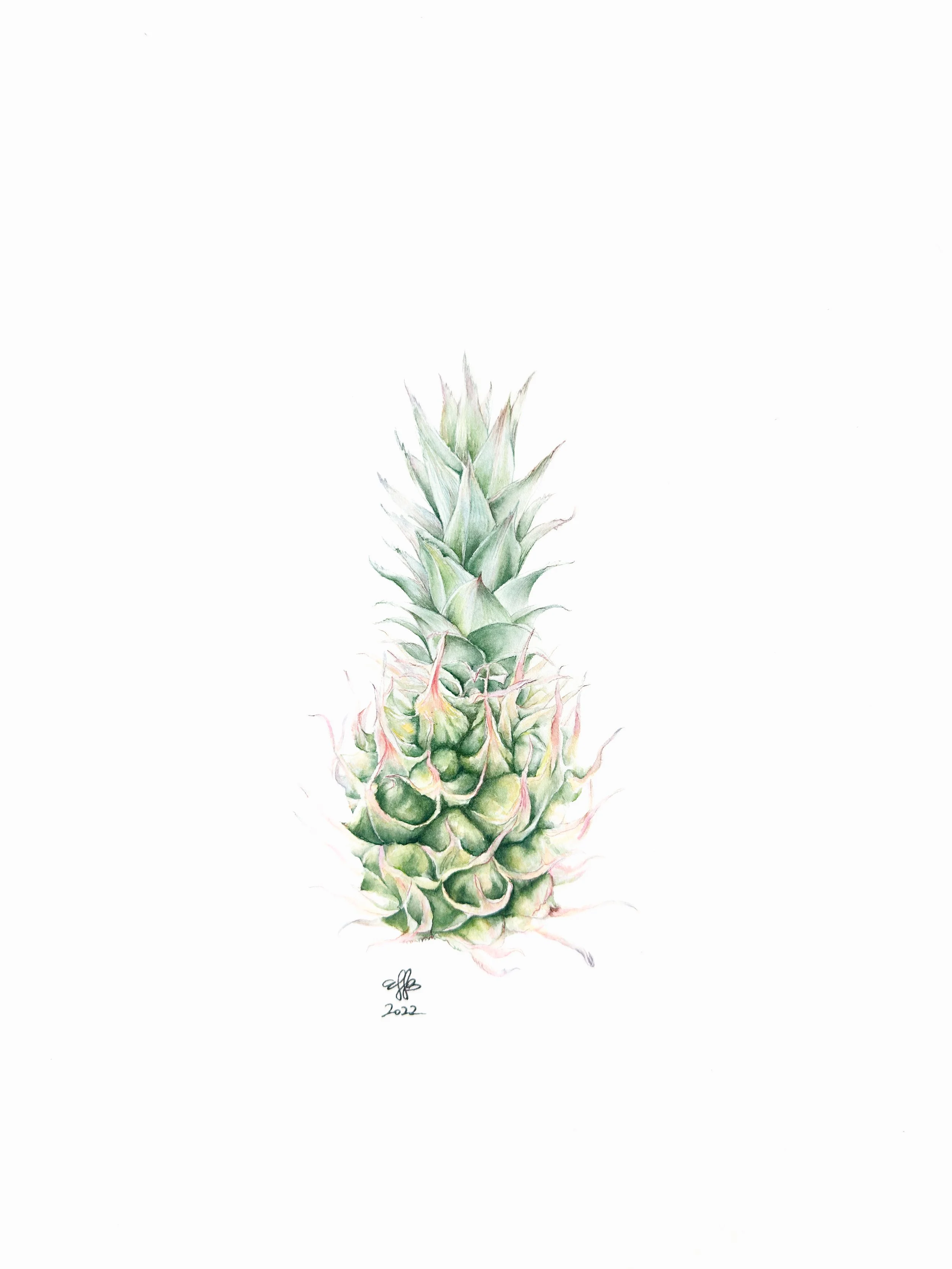 Pineapple No. 7