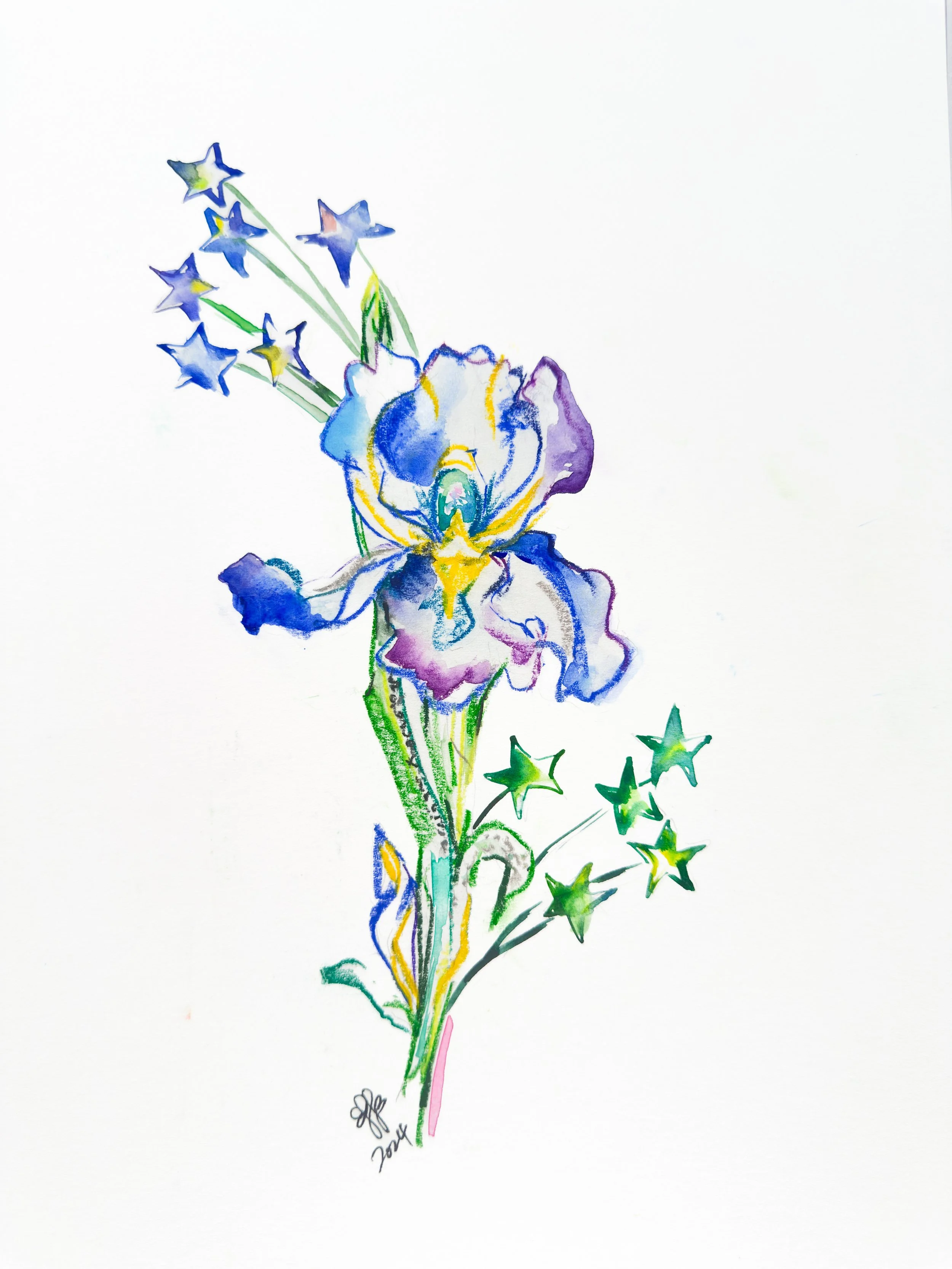 Blue Bearded Irises Stellar Pop