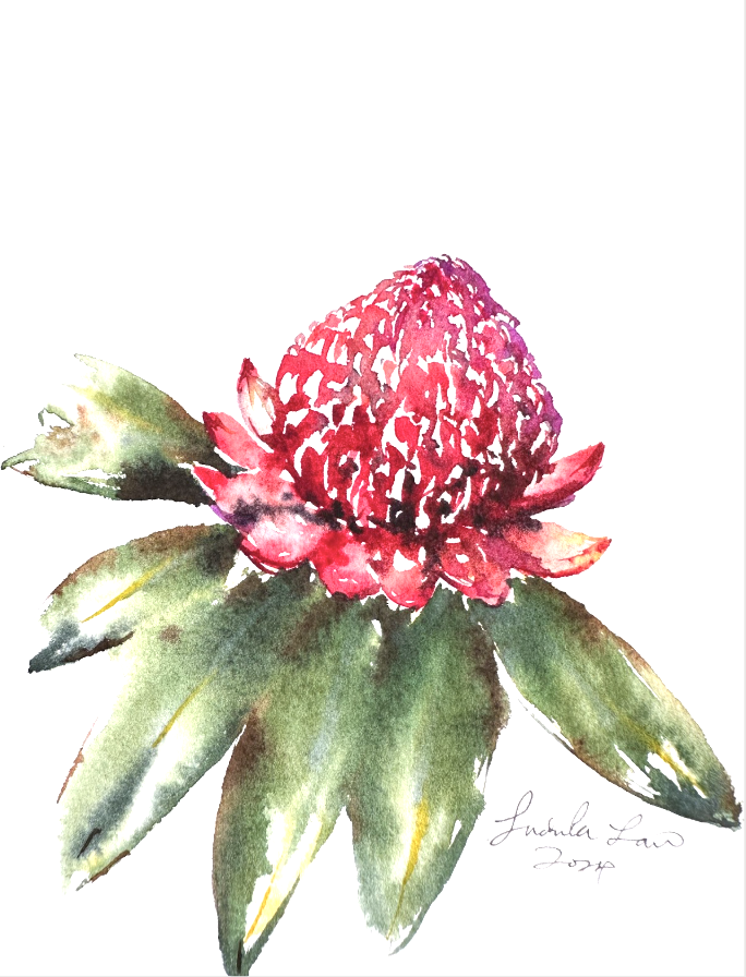 Screenshot 2025-11-13 at 5.13.17 PM.png