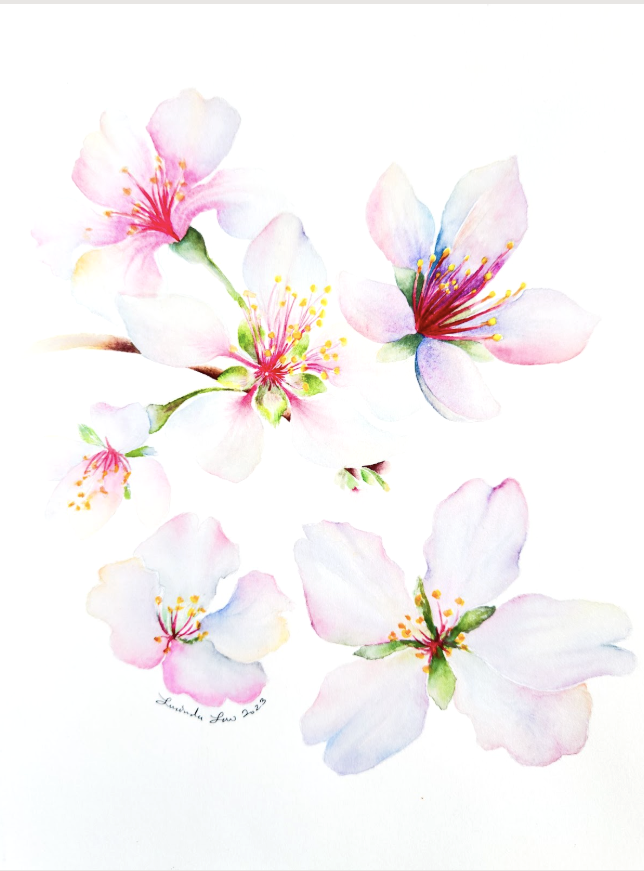 Screenshot 2025-11-13 at 5.08.57 PM copy.png