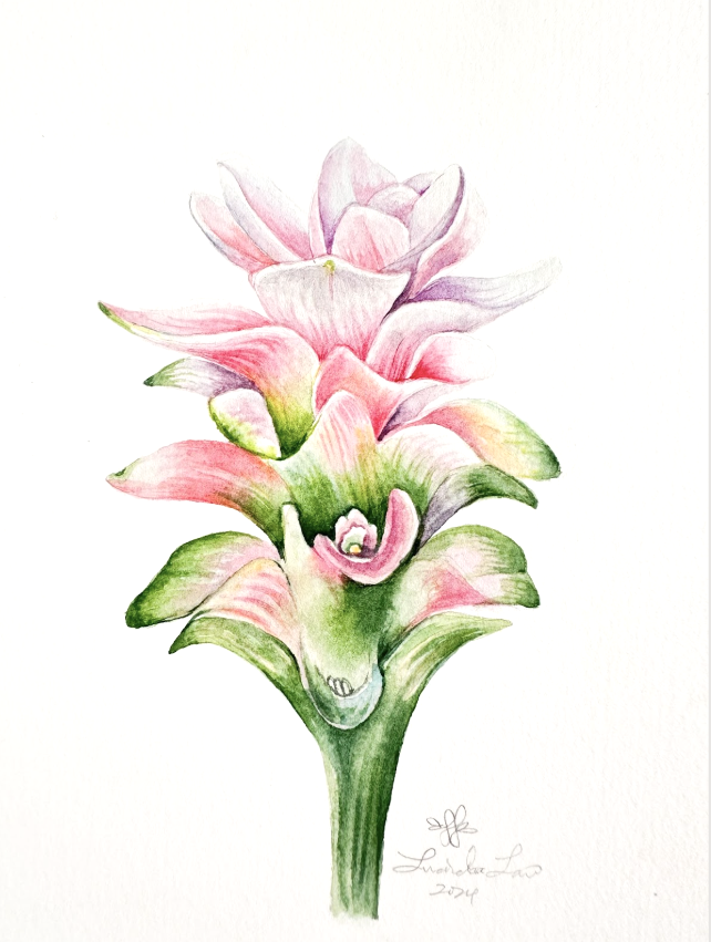 Screenshot 2025-11-13 at 5.13.27 PM copy.png