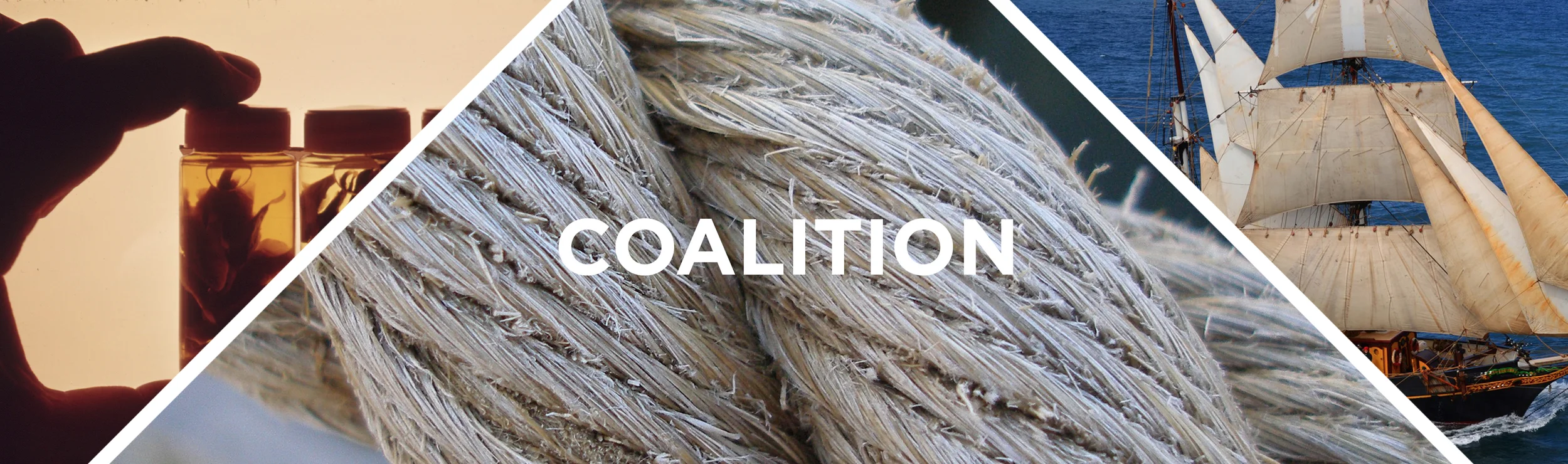 coalition_text.jpg