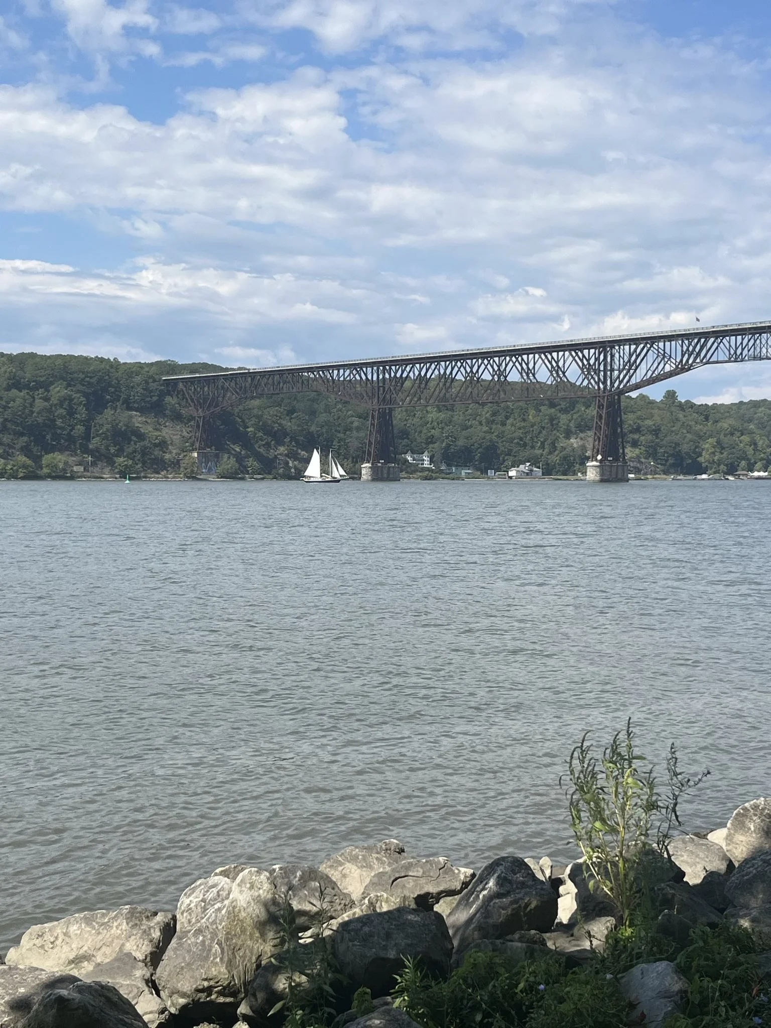 IMG_6723.jpeg