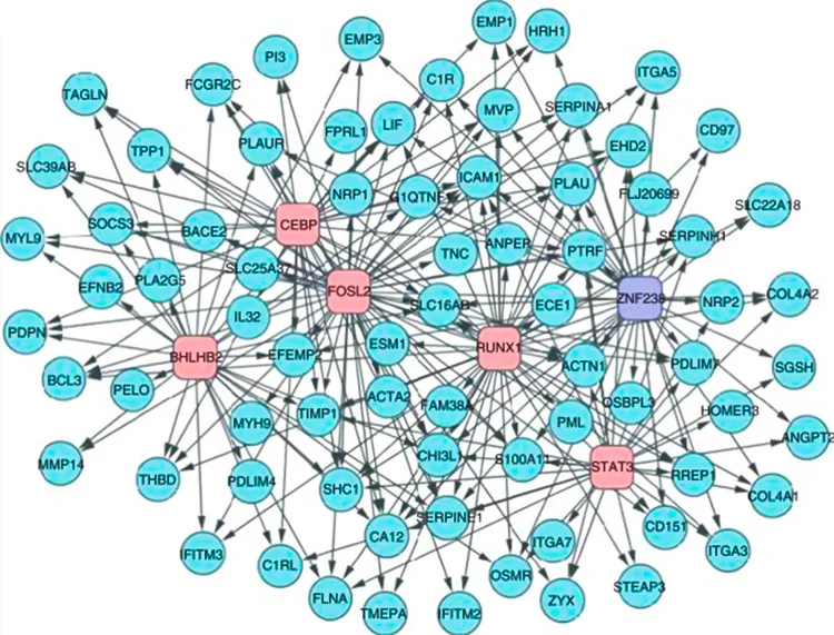 Transcriptional regulatory module controlling the mesenchymal signature of high-grade glioma, computationally inferred and validated by biochemical and functional assays.