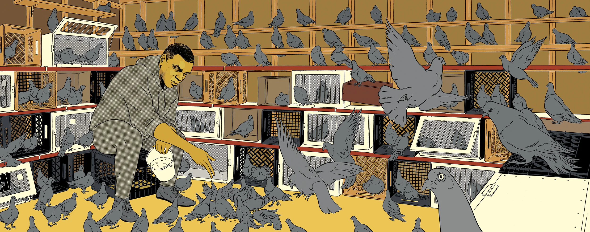 KID DYNAMITE - PIGEONS