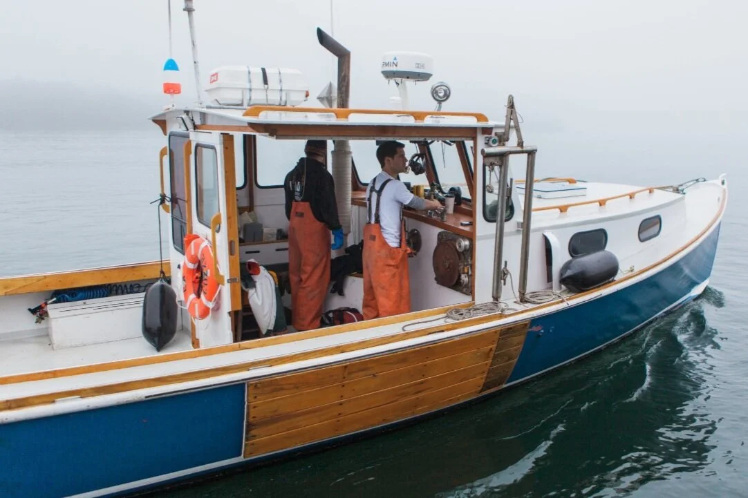 Bangs Island Mussels