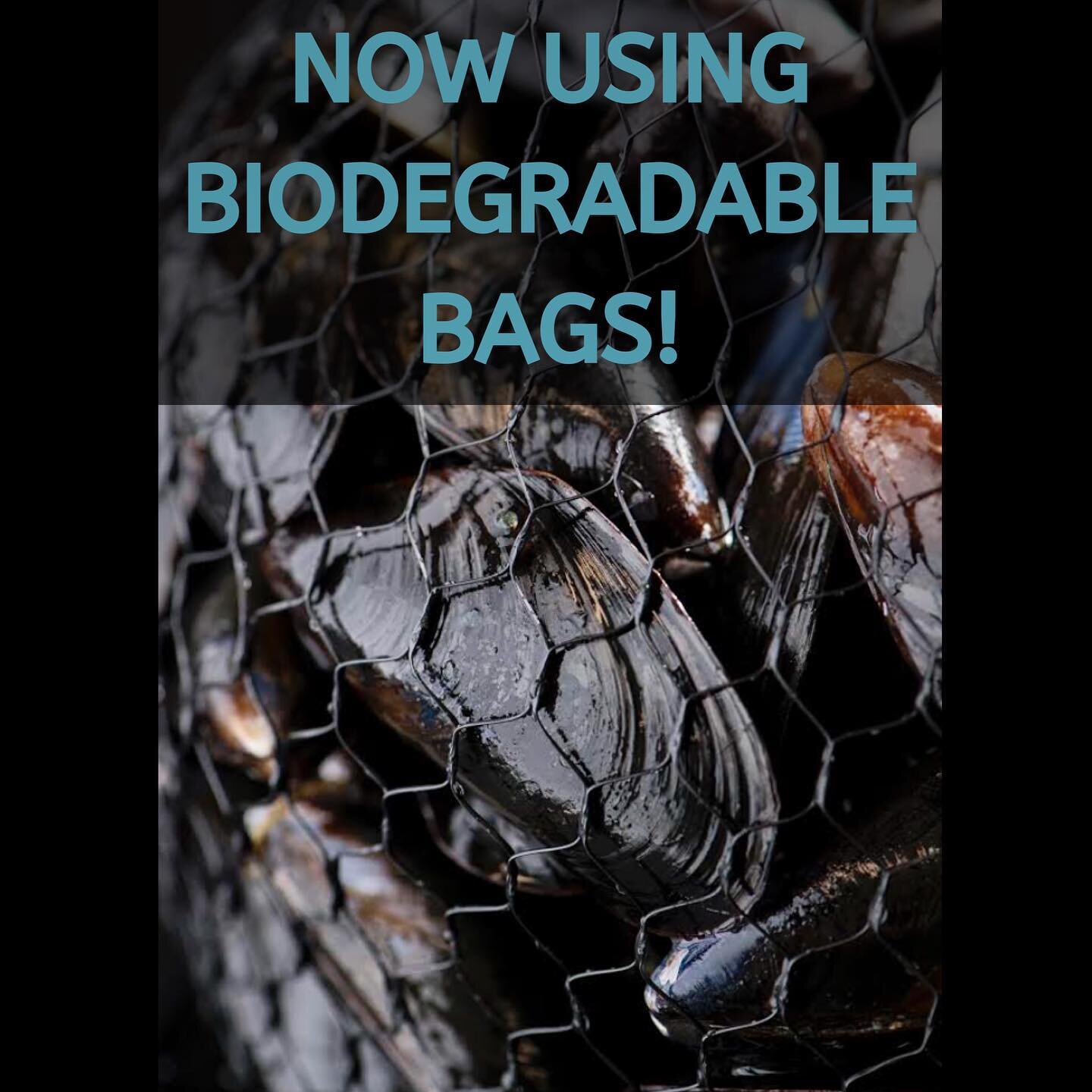 Bangs Island Mussels