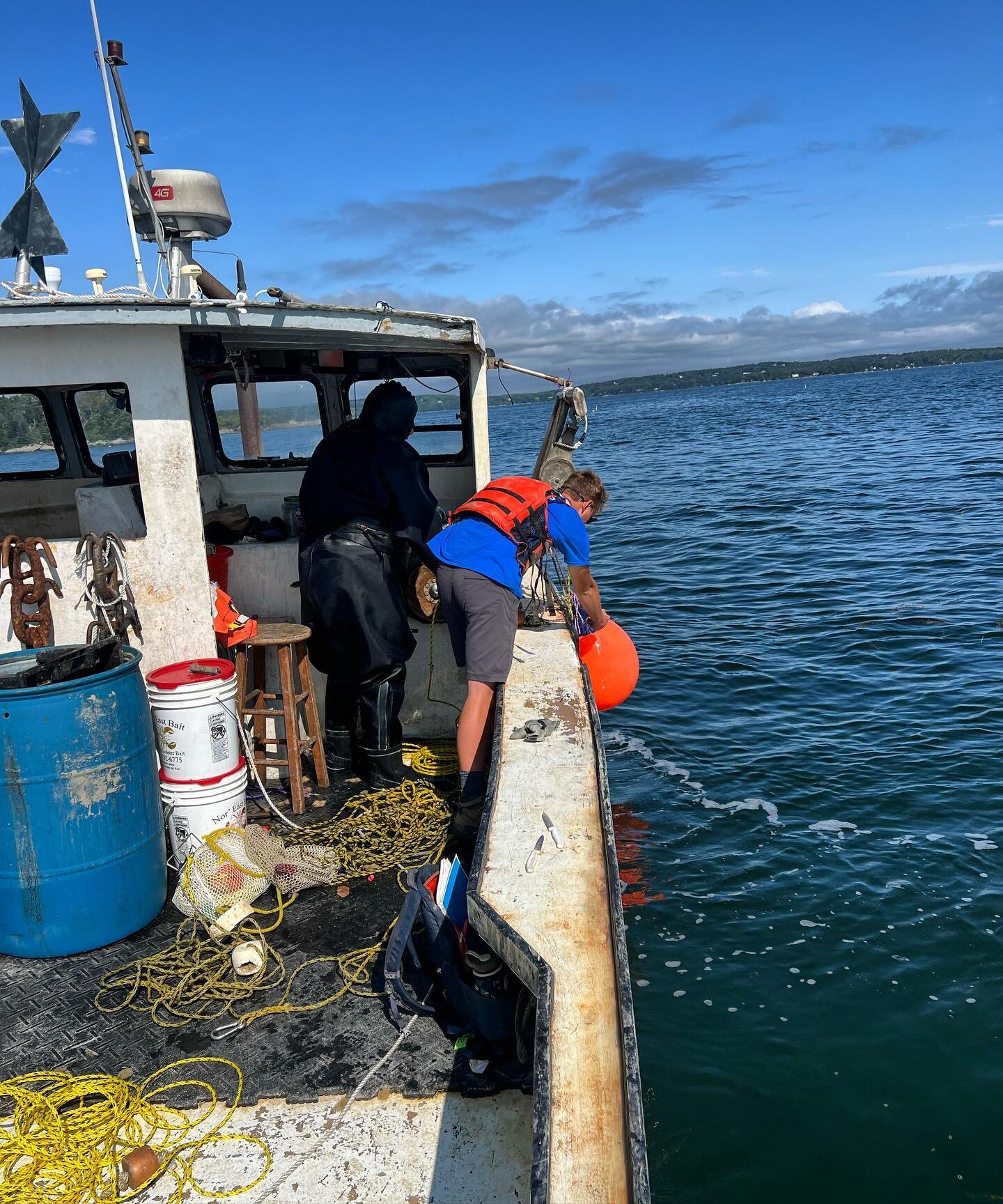 Dive day as we work to create GIS maps of the bottom of our leases 🤿🗺️💦 Having this visual of the seafloor below our rafts will be extremely useful in planning for the future of our farm, from production scheduling to ecosystem benefits ✨

We&rsqu