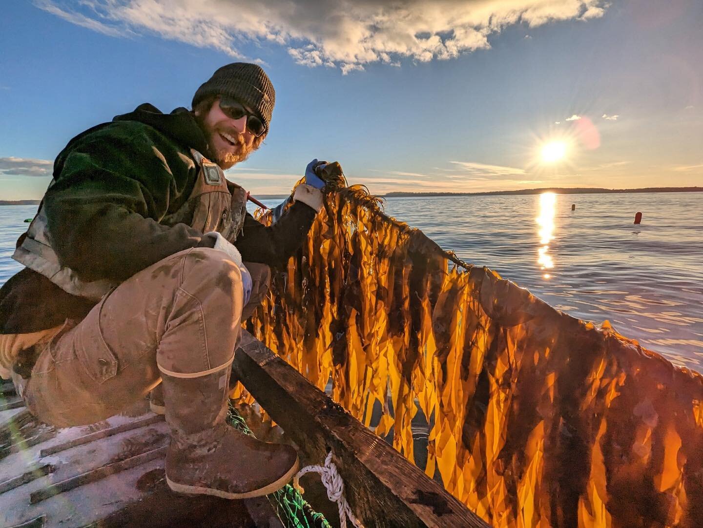 Checking on our crop before the winter storms arrive - kelp is coming in beautifully 🤩 Looking forward to harvest season in just a few months, but in the meantime these sea veggies will continue growing large and extracting nutrients from the surrou